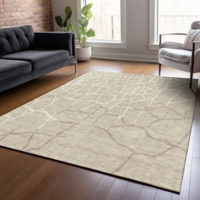 Tapis Chayden