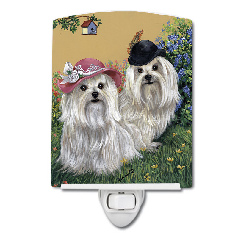 Veilleuse Westie, Maltais M. et Mme