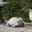 Statue de tortue majestueuse d'extérieur en gris foncé - aucun assemblage requis