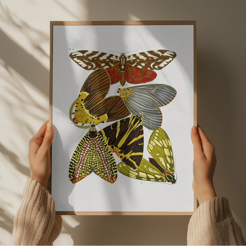 Wrapped Canvas Print, 60.96 cm H x 91.44 cm W