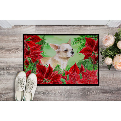 Non-Slip Outdoor Doormat