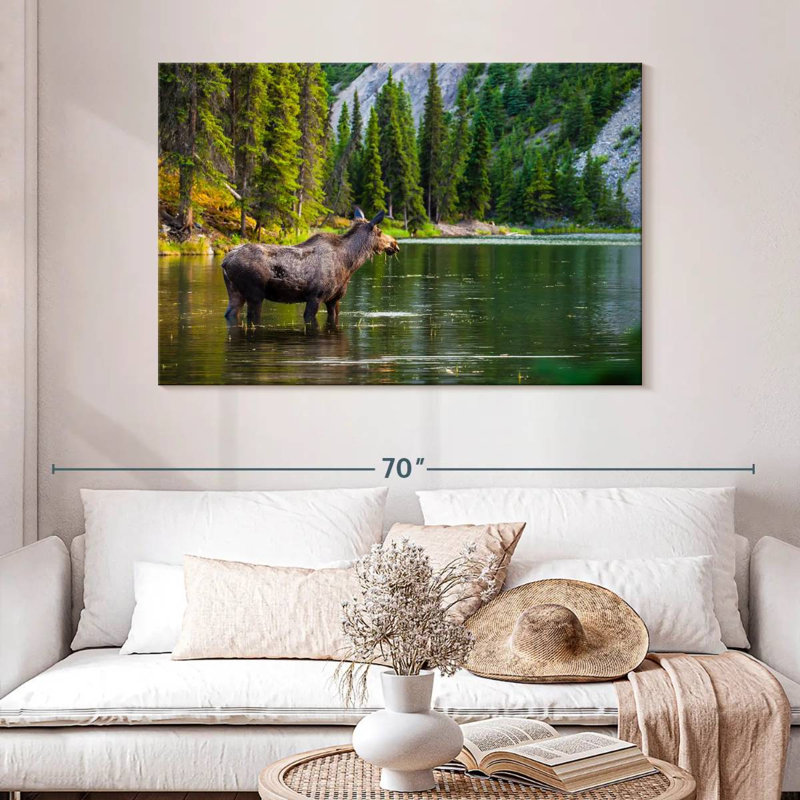 Brampt Bathing Alaskan Moose, H 32 po x l 48 po
