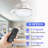 Diab 36'' Ceiling Fan with LED Lights-768260762