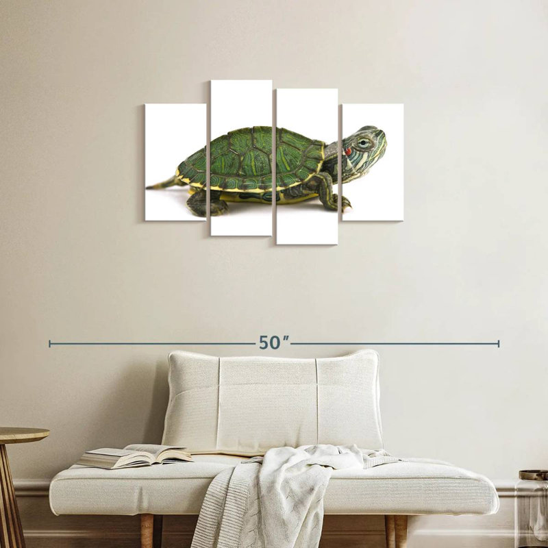 Brampt Red Eared Turtle, 22"H x 36"W