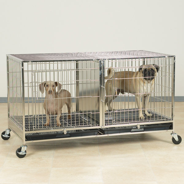 Caisse modulaire pour animaux Rubenstein, Moyen (H 32,5 po x l 23,6 po x P 47,5 po)