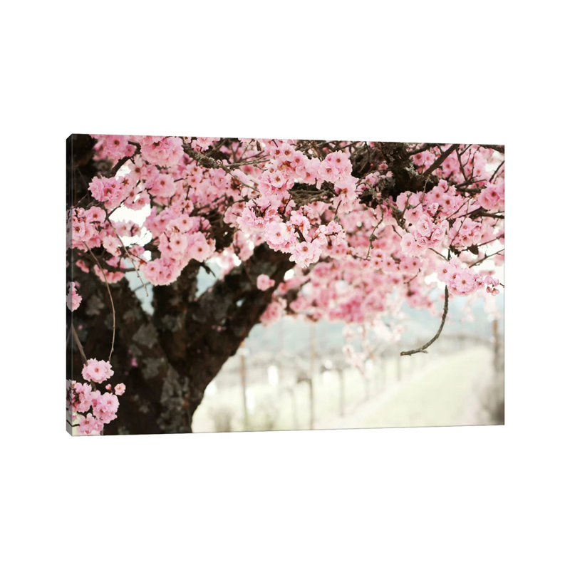 Brand New Day by Lupen Grainne - Wrapped Canvas Print, 101.6 cm H x 66.04 cm W x 1.91 cm D