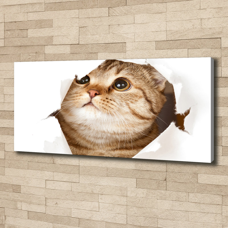 Cat - No Frame Print on Canvas