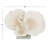 Amanda 13.15" Polystone Coral Decorative Sculpture