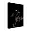 « scratching rodeo i », impression sur toile tendue-1548256625