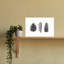 «Pine Cone Study», art mural contemporain abstrait-130681769