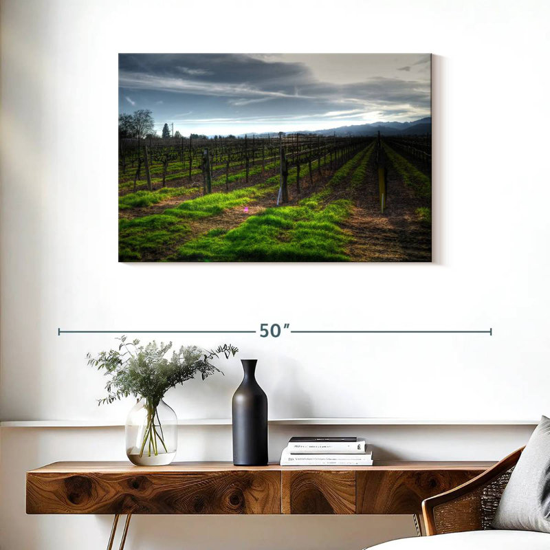 Alvord Napa Vineyard en janvier, H 24 po x l 36 po