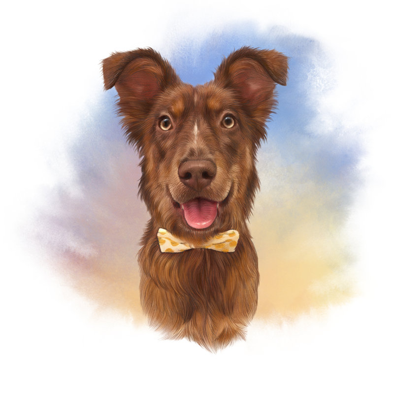 Dog With Bow Tie by Maximmmmum - Wrapped Canvas Print, 91cm H x 91cm W x 3.8cm D