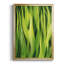 Of Grass I-88443039-88443040