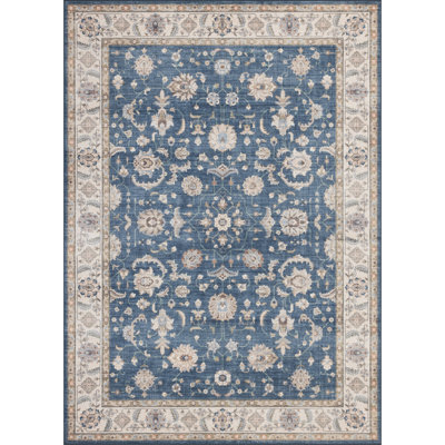 Contemporary Design Multi Accent Rug