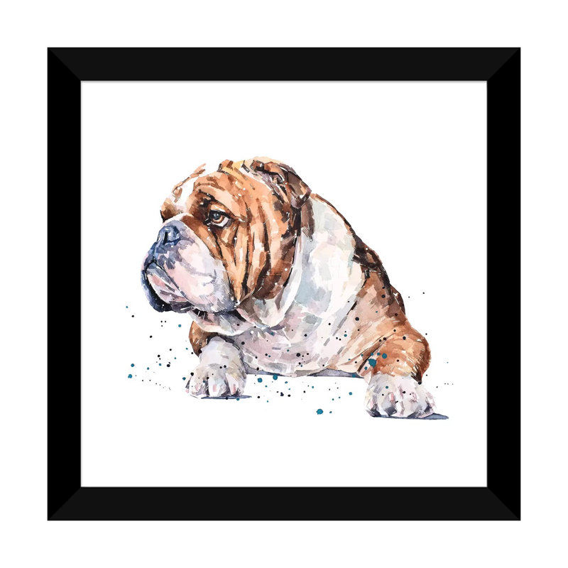 "English Bull Dog I" par Edwatercolours-impression, Blanc, H 16 po x l 16 po x p 1 po, Papier encadré noir