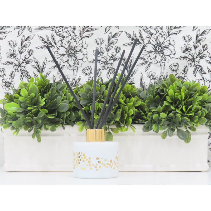 Plant / Floral Diffuser