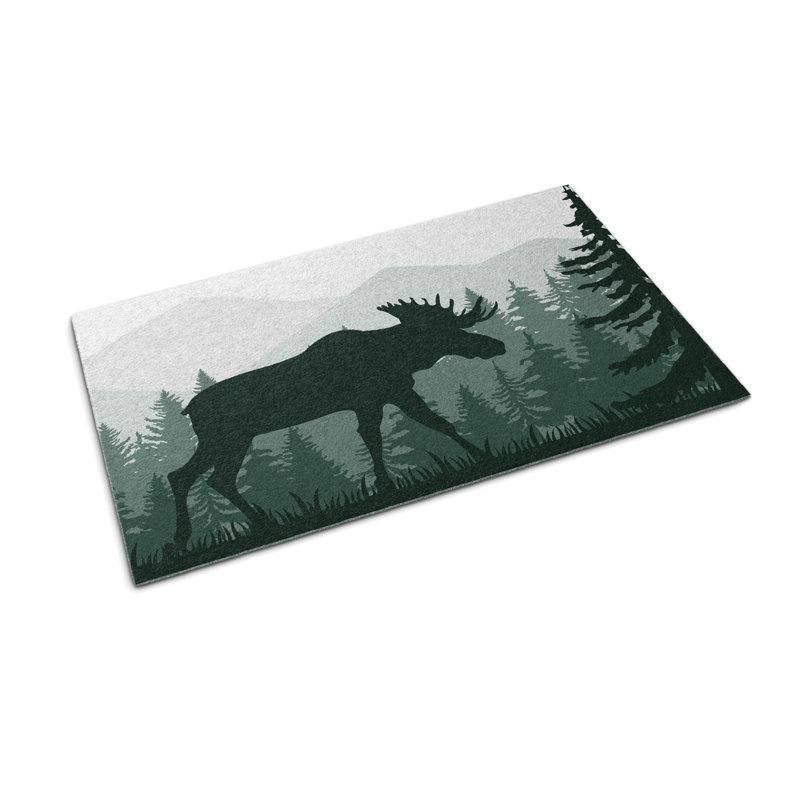 Non-Slip Outdoor Doormat