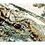 Hand Woven Wool Abstract Area Rug-65382638