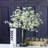 Madrid Baby's Breath Centerpiece-1491479432