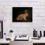  «Resting Bunny Rabbit 9» par Marian Parsons, art mural sur toile, 16 po x 12 po-1279247058