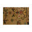 Oriental Area Rug in Camel/Brown/Green