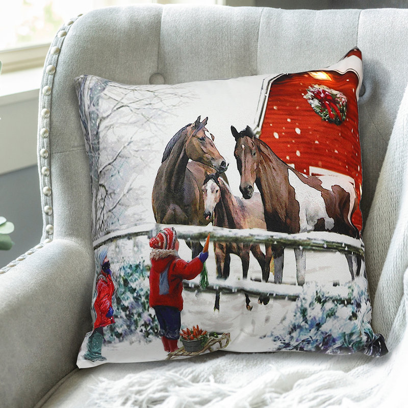 Coussin décoratif en velours 