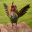 Statue Abigail Rooster