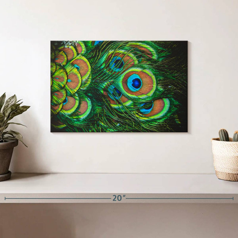 Crowle Shiny Peacock Feathers, 8" H x 12" W
