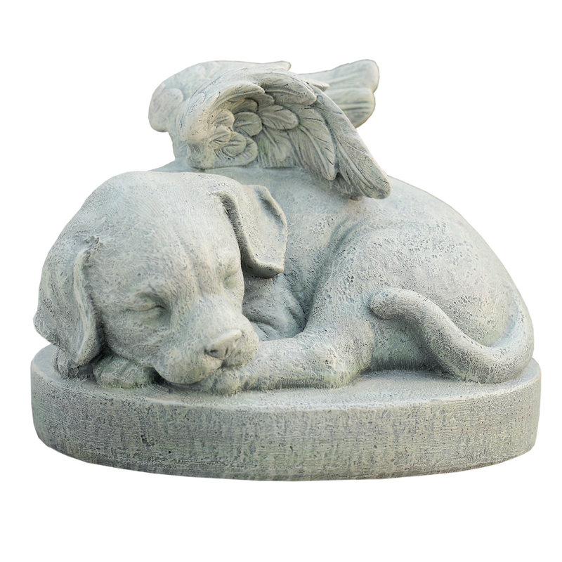 Chien de sympathie
