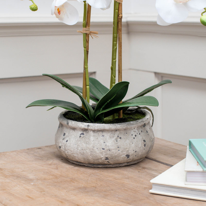 Arrangement