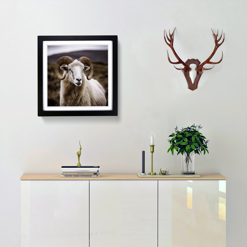 Ram Sheep - Single Picture Frame Print on Wood, Black