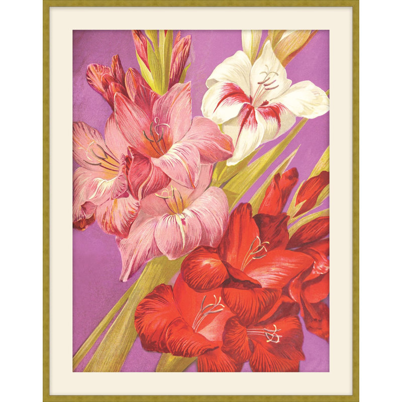 Jewel Blooms 5 Print, 28.5" H x 23.5" W