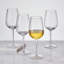 Optic 15-Oz White Wine Glasses, Set Of 4 in , 15 oz.