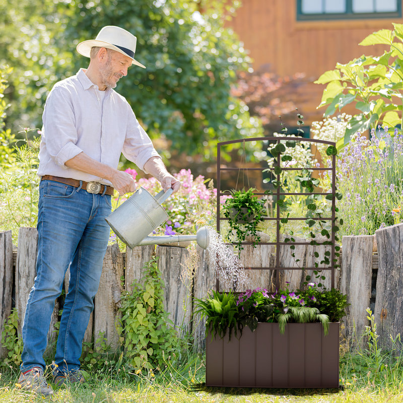 Alzada Metal Raised Garden Bed with Trellis