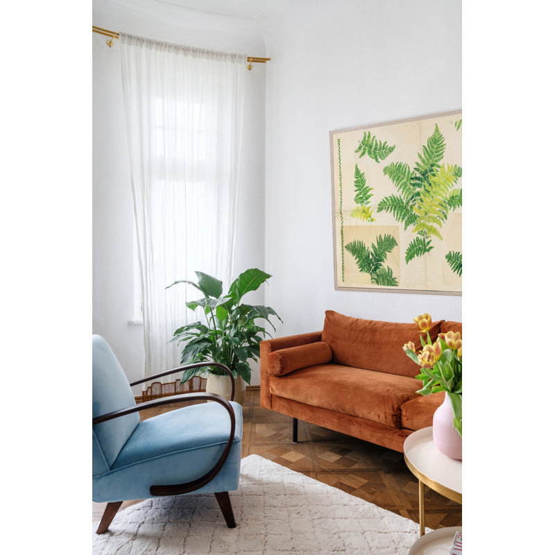 Fern Print by Paule Marrot, 43" H x 54" W x 1.25" D, White Framed