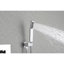 Système de douche mural avec douche à main, pomme de douche 12 po et bec de baignoire