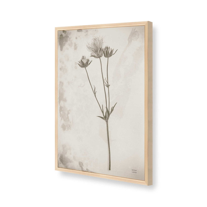 «Wildflower Journal Vintage» par Nathan Larson, reproduction d'art, H 12 po x l 8 po, Tanné