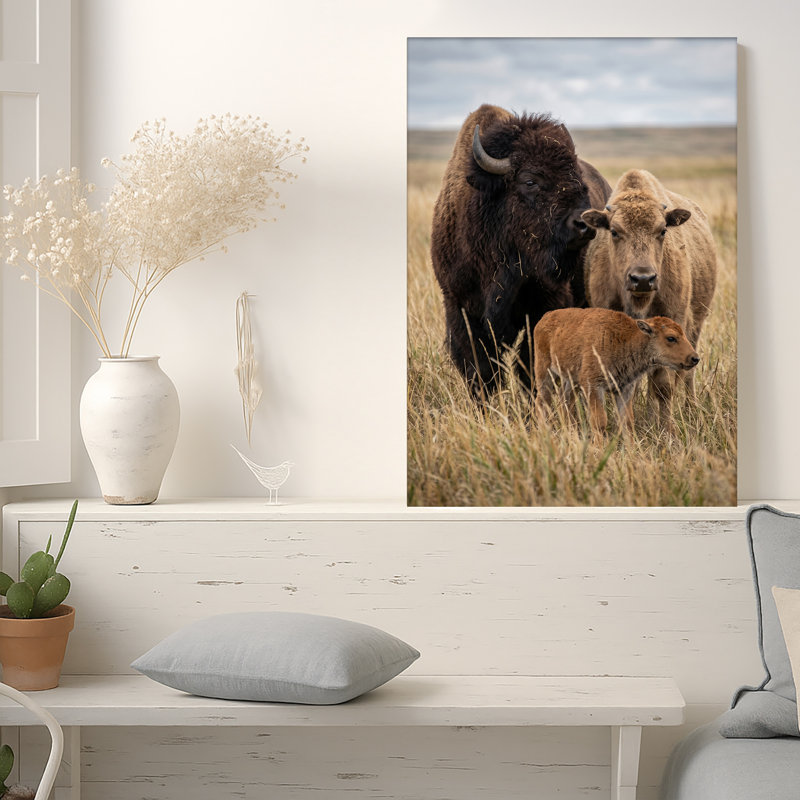 Art sur toile, grand bison brun adulte et veau debout dans de hautes herbes sèches, 18"H x 12"W