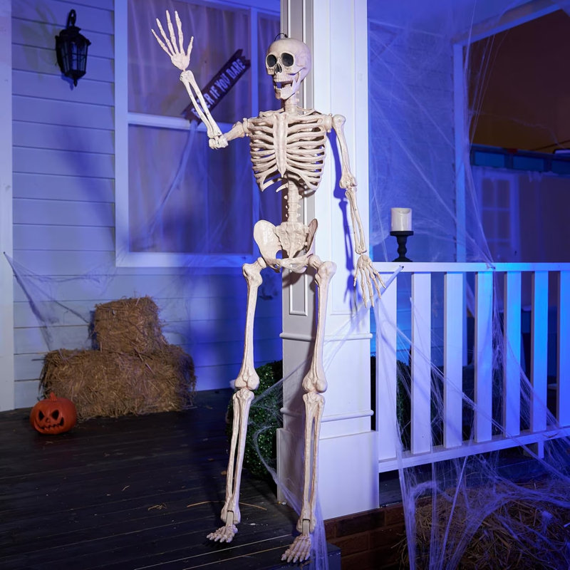 5 FT Halloween Posable Skeleton Life Size
