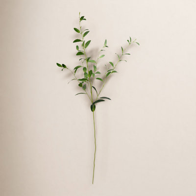 Roni Leaf Spray
