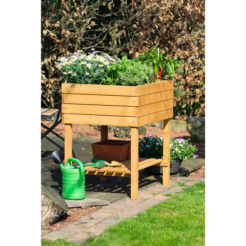 Aalaya Wood Elevated Planter