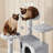 Dagenham Cat Tree Tower Condo Cat Furniture with Scratching Post for Kittens-1633495510-1665080516