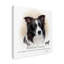 « border collie », reproduction d’impression sur toile tendue-26853370