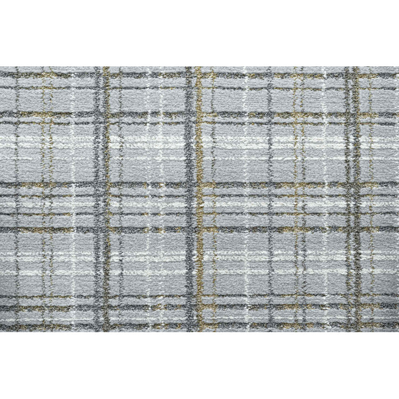 Hachirou Plaid Indoor / Outdoor Area Rug, Rectangle 160cm x 230cm
