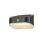Imel Black 9.5cm H Solar Powered Integrated LED Outdoor Flush Mount with Dusk to Dawn