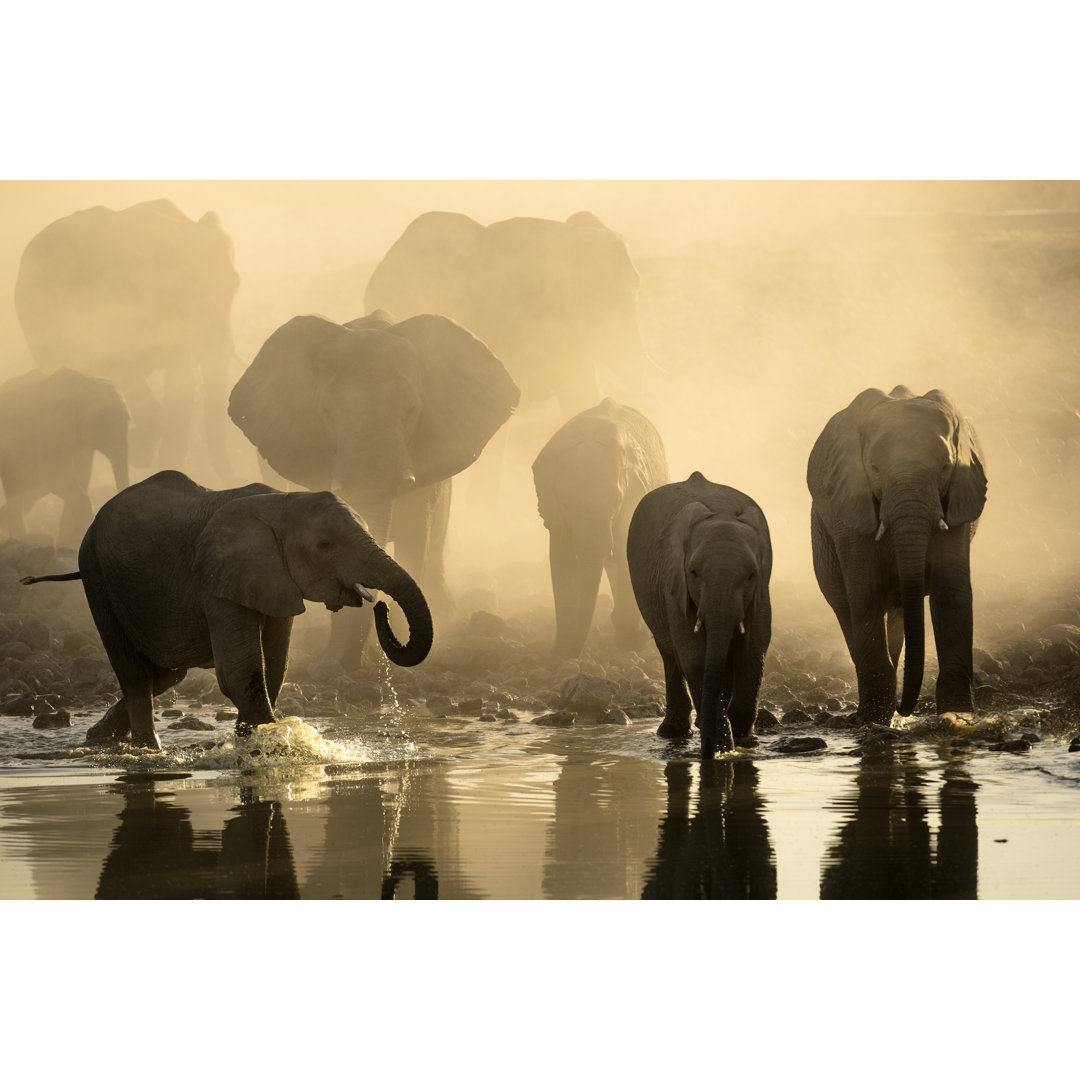 Elephants At Okaukuejo Waterhole by 2630ben - Wrapped Canvas Print