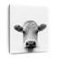 Tête de vache blanche, reproduction sur toile-371214262