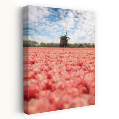 «Windmill Whispers», art contemporain abstrait de tulipe