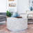 Juliana Solid Wood Single Coffee Table