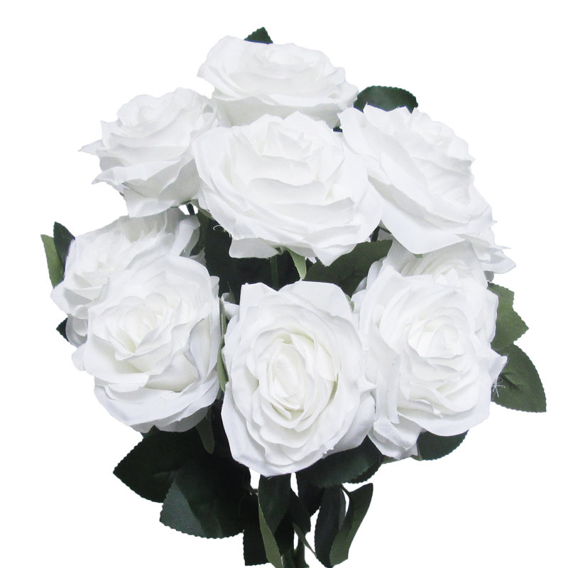 Grand rosier Jaafer Deluxe, Blanc